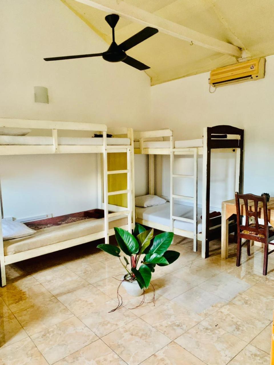 Hôtel Dreamy Surf House à Weligama Extérieur photo